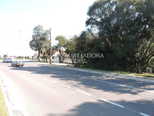 Imagem 5 de 13 de Terreno - Sao Jose - Ref: 262128 - V-262128