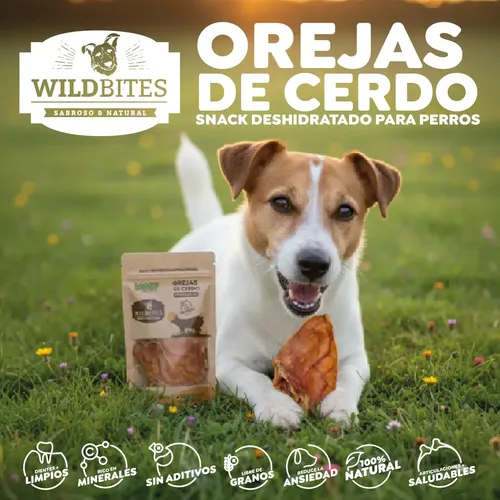 Orejas De Cerdo Deshidratadas 3und Wild Bites | Cuotas sin interés
