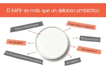 Comprar 30g Hongos Búlgaros Kéfir Agua Y Leche Tipo Coliflor Arroz
