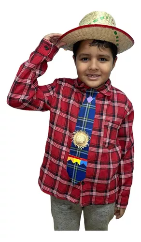 Camisa Masculina Infantil Xadrez Festa Junina + Grata Lenço