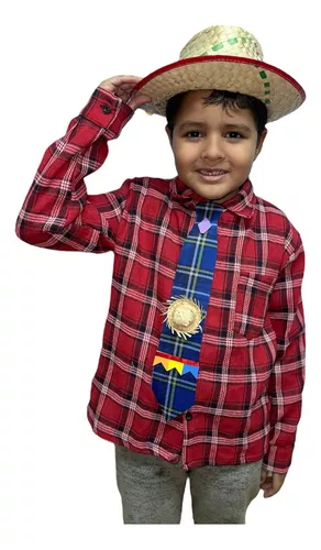 Camisa Infantil Xadrez Junina Manga Longa Flanela + Gravata