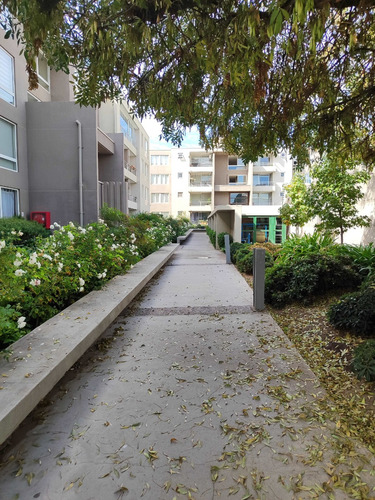Moderno / Colegio Lincoln / Strip Center