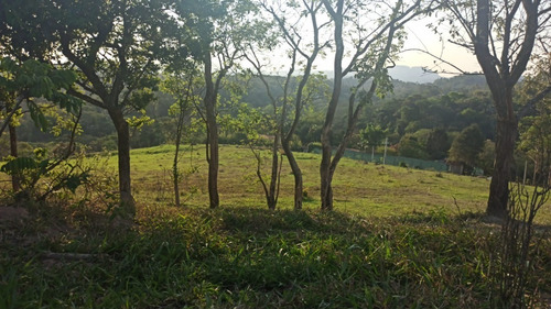 Imagem 9 de 17 de 10. Lotes A Venda (800m²) , Agende Já Uma Visita