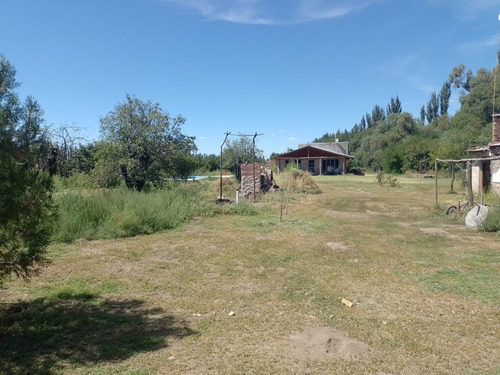 Imagen 8 de 19 de Venta De Casa Con Terreno De 1/2 Hectárea - San Rafael Mendoza