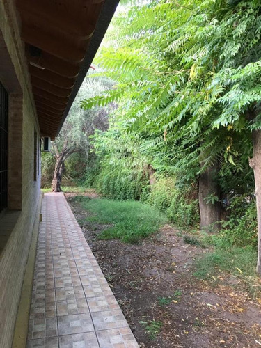 Imagen 23 de 30 de Venta - Finca - Cañada Seca Retasada