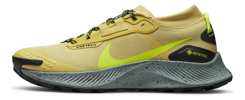 Zapatillas Nike Pegasus Trail 3 Gore-tex Dc8793-300   