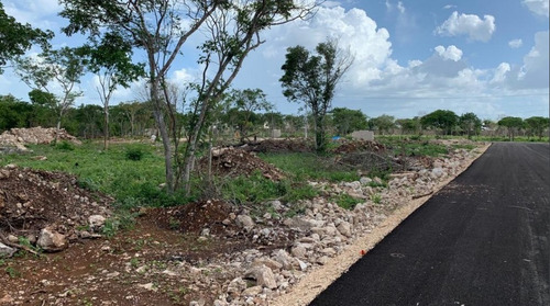 Imagen 2 de 3 de Terreno Venta Arbia Conkal, Mérida Yucatán