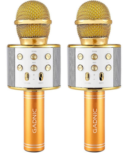 Kit X2 Micrófono Gadnic Karaoke Inalámbrico Bluetooth