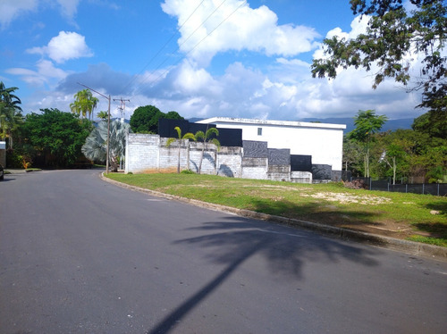 Imagen 2 de 2 de Yenny Terreno Guataparo