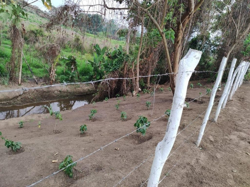 Finca En Bejuma Camino Verde