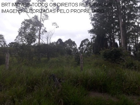 Imagem 7 de 22 de Terreno - Te00125 - 34466729