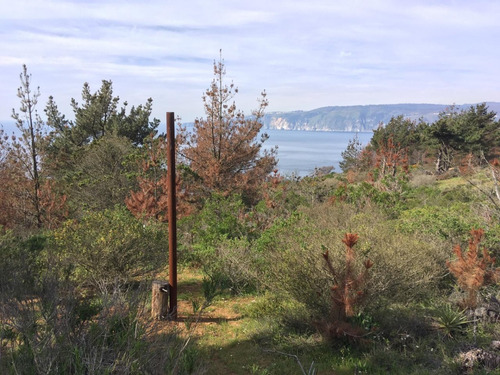 Dos Predios De 1 Há Condominio Reserva Ecológica Curaumilla