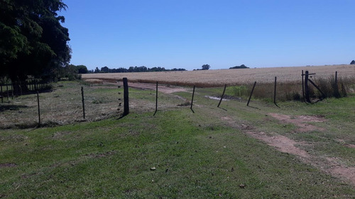 Imagen 13 de 15 de Campo Para Desarrollo Inmobiliario En Los Cardales - Reynolds Propiedades