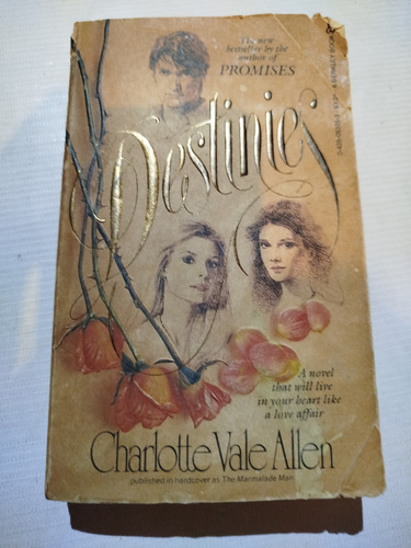 Libro Destinies Charlotte Vale Allen En Inglés 