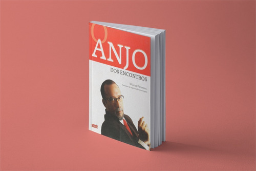 O Anjo Dos Encontros - Walter Peceniski