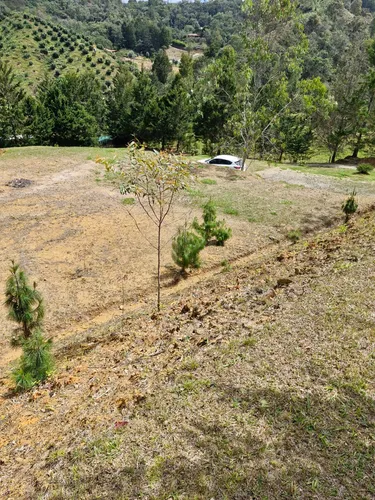 Lote En Venta Con Bosque Y Dos Explanaciones