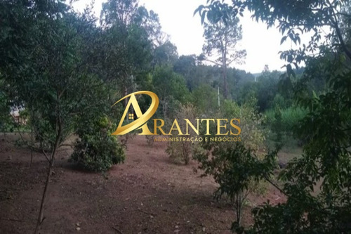 Imagem 7 de 19 de Chacara - Ch00370 - 70798734