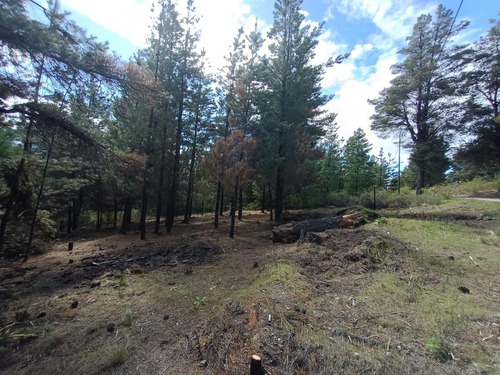 Imagen 7 de 12 de Terreno - Epuyen