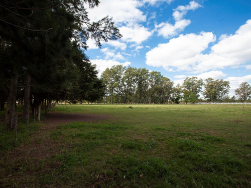 Imagen 2 de 9 de Chacra La Olvidada Altos De Areco