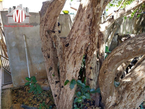 Imagem 22 de 24 de Excelente Chácara Com 03 Dormitórios, Edícula, Piscina, Pomar, À Venda, 380 M² Por R$ 235.000 - Rural - Socorro/sp - Ch0811