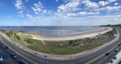 Imagen 11 de 16 de Estrena Frente Al Mar