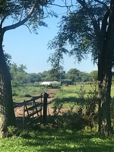 Imagen 24 de 30 de Campo De 173 Hectáreas - Gral. Las Heras - Buenos Aires