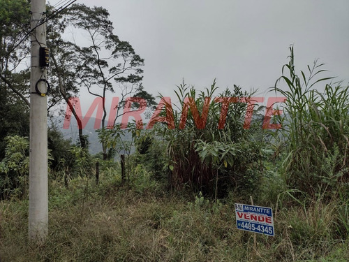 Imagem 4 de 5 de Terreno Em Serra Da Cantareira - São Paulo, Sp - 371762