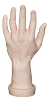 Comprar Modelo De Mano Masculina Falta De Mano Piel Mano Izquierda