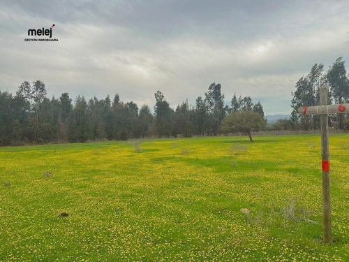 Venta Terrenos En Los Laureles, Limache