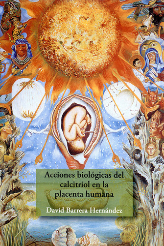 Acciones Biológicas Del Calcitriol En La Placenta Humana, De Barrera Hernandez, David. Editorial Mexico-silu, Tapa Blanda, Edición 2013 En Español