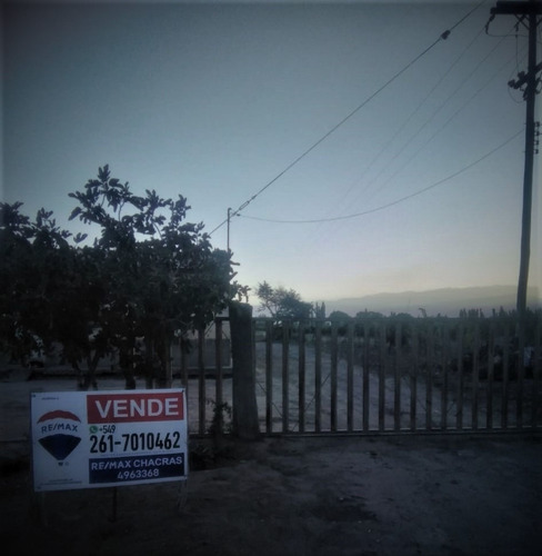 Imagen 7 de 7 de Finca En Venta -la Consulta, Valle De Uco Mendoza