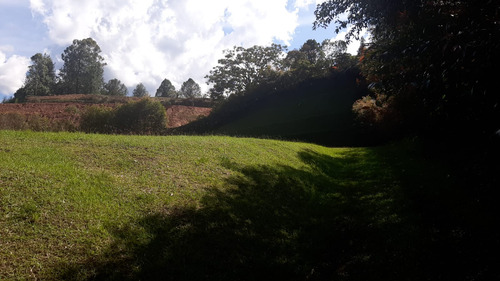 Lote En Venta En Rionegro, Sector De Llanogrande