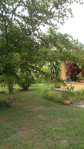 Imagen 13 de 14 de Venta De Parcela En Montalban