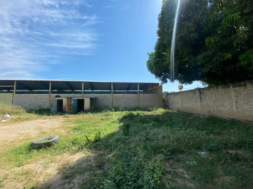Imagen 4 de 13 de En Venta Galpon Con Amplio Terreno, Palo Negro