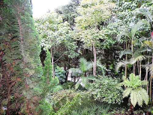 Imagem 27 de 30 de Casa À Venda, 392 M² Por R$ 2.190.000,00 - Recanto Inpla - Carapicuíba/sp - Ca2684