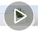 Plantas Césped Artificial 25 Cm En Maceta Madera Blanca