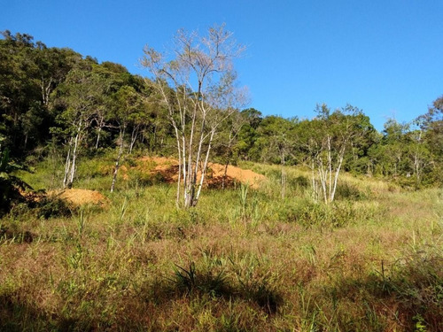 Imagem 15 de 21 de Linda Chácara Medindo 5,7 Alqueires Localizada No Anhaia Por R$280.000 Morretes Pr - Ch0147