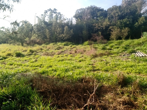 Imagem 5 de 5 de Terreno 10 X27