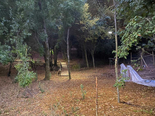 Parcela En Vilches Con Casa A La Venta (83613)