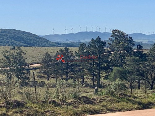 Chacra En Venta En Aigua- Ref: 1493