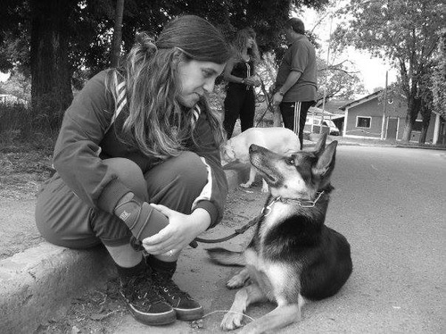 Pensionado Canino Y Guarderia - Adiestradora Prof - Paseos