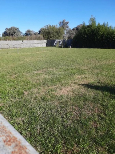 Imagen 2 de 6 de Terreno - Pilar