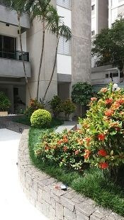 Imagem 20 de 30 de Apartamento Com 2 Dormitórios Para Alugar, 70 M² Por R$ 2.190,00/mês - Perdizes - São Paulo/sp - Ap16384
