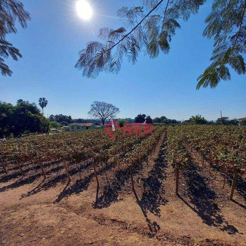 Imagem 2 de 8 de Sítio Com 5 Dormitórios À Venda, 26000 M² Por R$ 1.800.000,00 - Parque Da Grama - Indaiatuba/sp - Si0002
