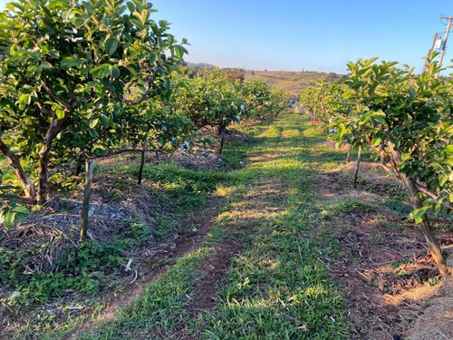 Sitio A Venda Macuco, Valinhos, Leao Imoveis - Si0008