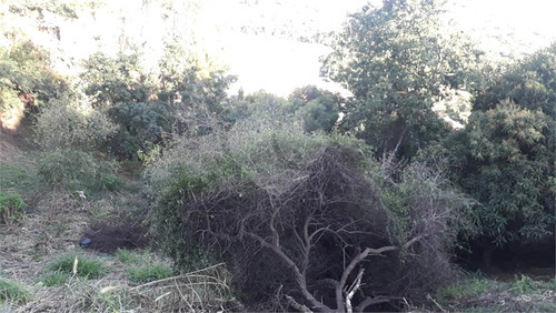 Imagem 5 de 30 de Terreno No Jardim São Bento Com 890 Metros Com Linda Vista Panorâmica Pronto Para Construir!!!! - Reo499490