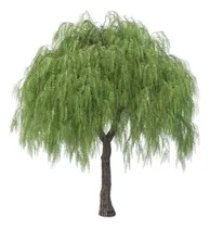 Comprar Arbol Sauce Llorón Y Eléctrico De 3 Mtr Aterronado  10\u002F12
