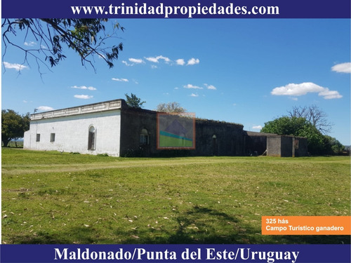 Imagen 7 de 14 de Campo Turístico Ganadero 325has