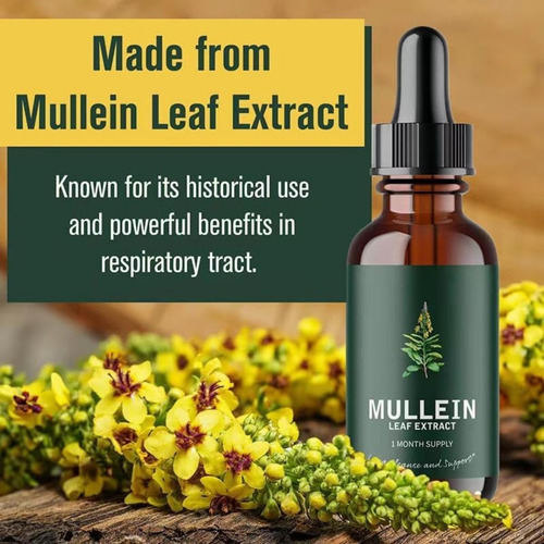 , Etherglam - Extracto De Mullein
