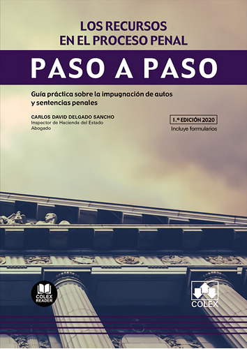 Los Recursos En El Proceso Penal - Delgado Sancho Carlos Dav